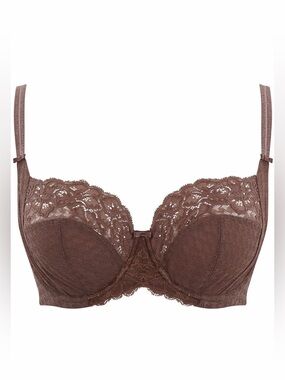 Panache Envy 7285 Full Cup Lace Underwire Bra Chestnut 34H NWT